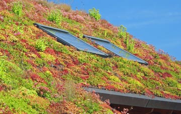 Northchurch living roof systems